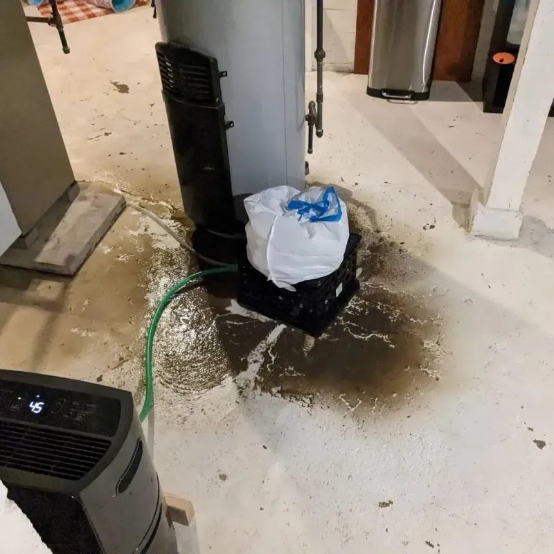 Sewage Backup Cleanup Service in Donalsonville, GA